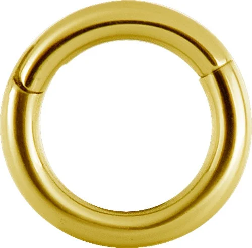 Women's luxury party rings-24k Gold Plated Hinged Ring 16 Gauge - BGBHSR